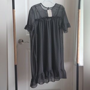 H&M Sheer Swiss Dot Dress